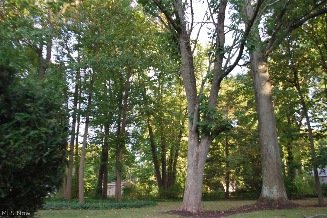 4260 Ridgewood Road Akron, OH 44321 - Photo 34 of 35 Wooded back yard view.