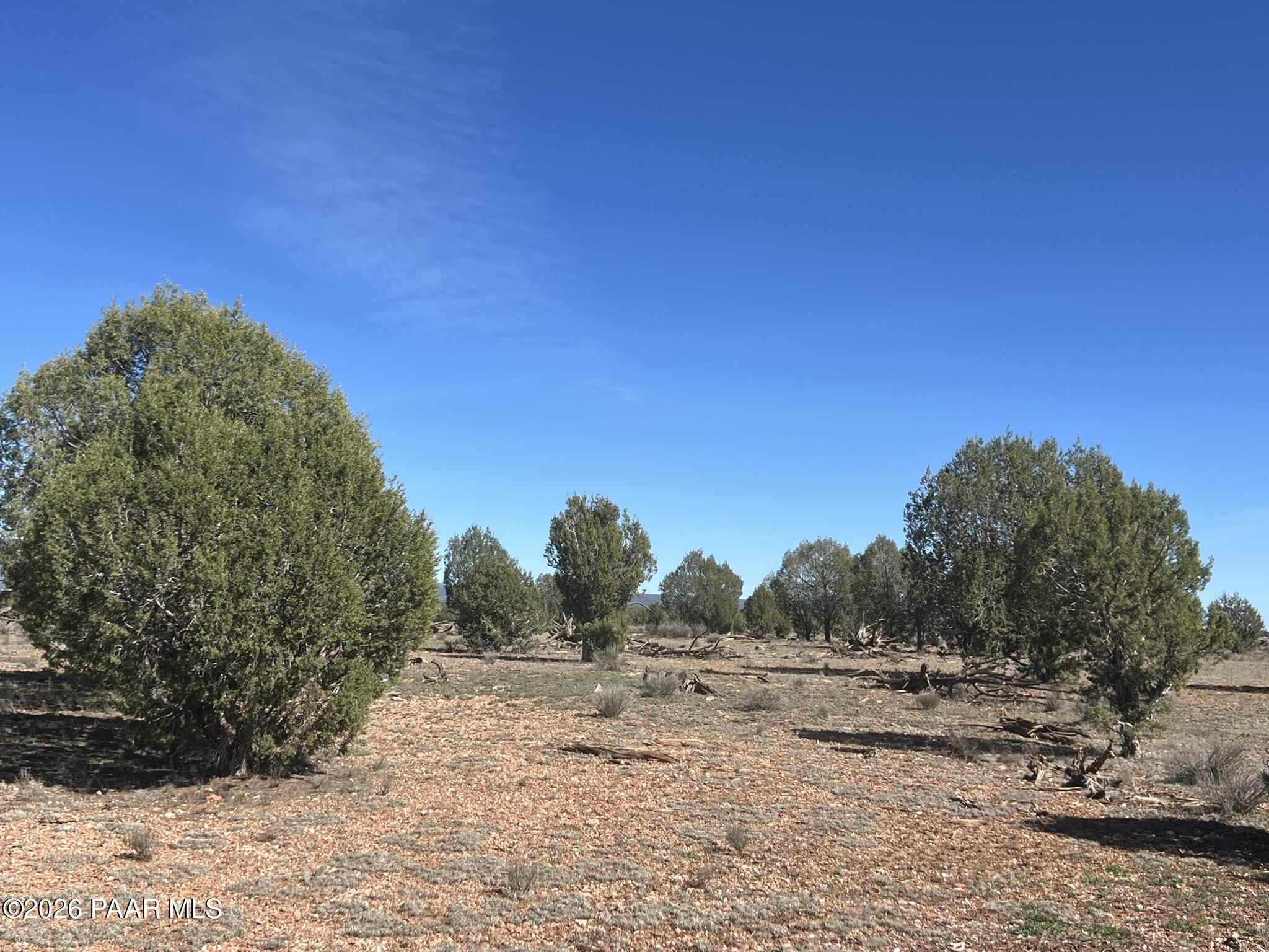 309 Bullock Road Ash Fork, AZ 86320 - Photo 4 of 8 IMG_9690