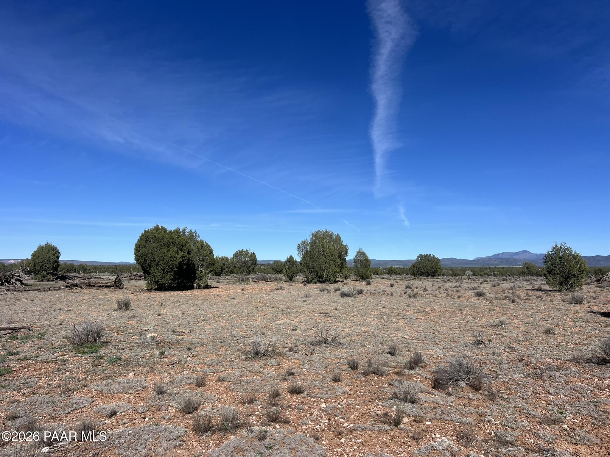 309 Bullock Road Ash Fork, AZ 86320 - Photo 5 of 8 IMG_9691