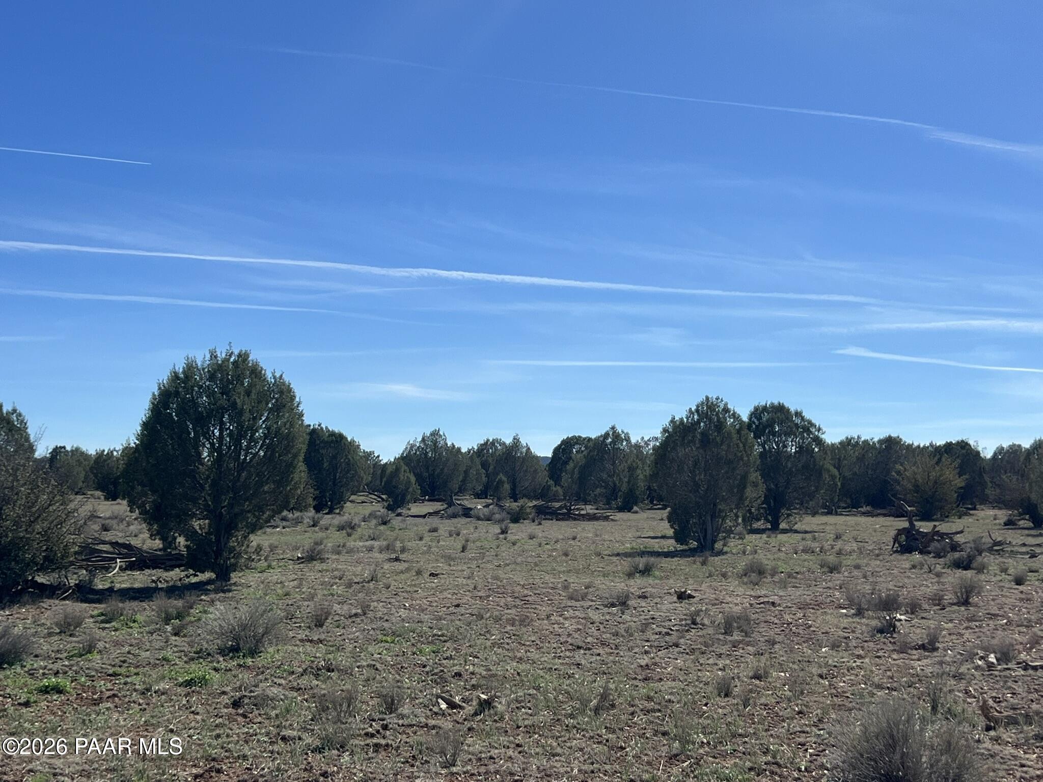 309 Bullock Road Ash Fork, AZ 86320 - Photo 6 of 8 IMG_9692