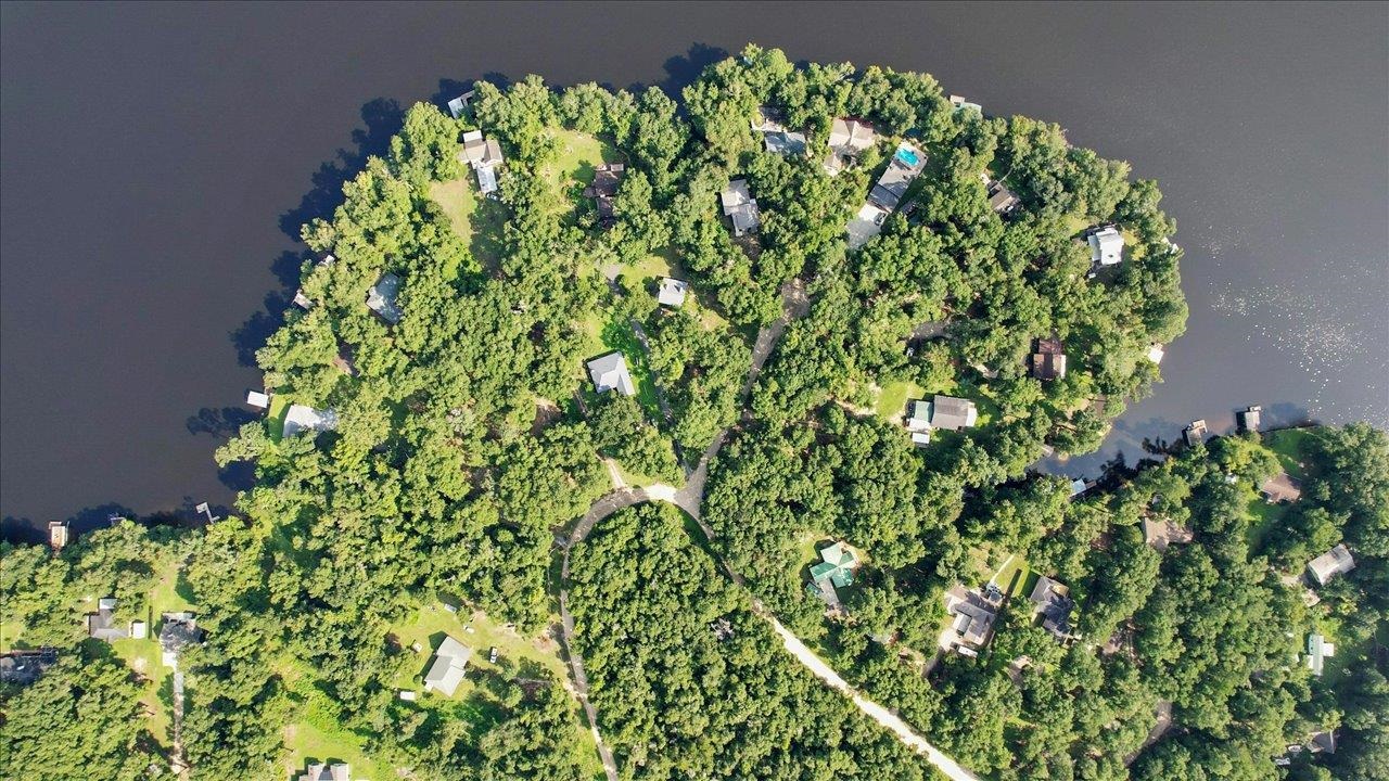 Parramore Shores Road Tallahassee, FL 32310 - Photo 20 of 31