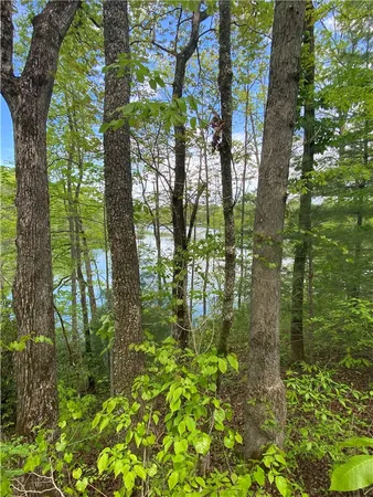 $100,000 | 0 Crystal Lake Road, Unit LOT #36, Mountain Rest, SC 29664