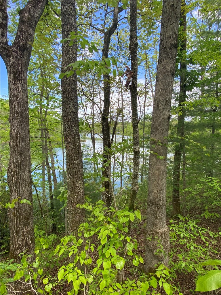 0 Crystal Lake Road, Unit LOT #36 Mountain Rest, SC 29664 - Photo 1 of 8 A tranquil lake view peeks through lush, mature trees, offering a private, wooded retreat.
