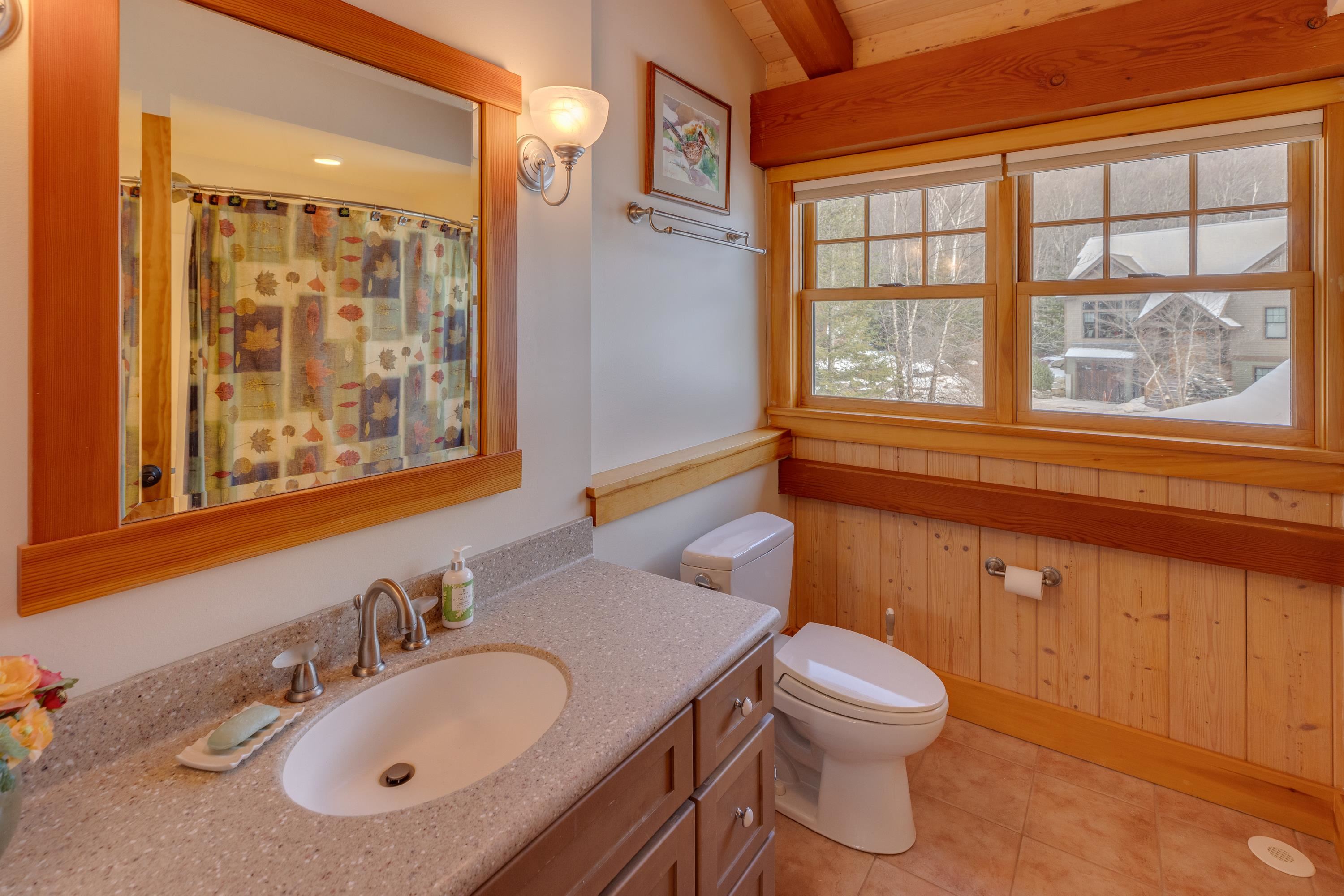 52 Lost Pass Road Waterville Valley, NH 03215 - Photo 50 of 60