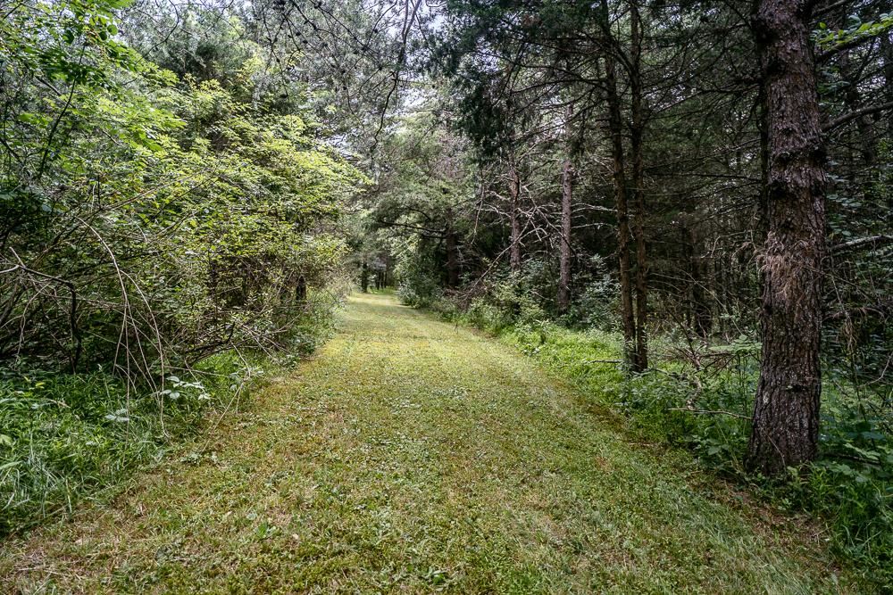 13394 Highway 259 Mathias, WV 26812 - Photo 28 of 32 Gallery Image 28