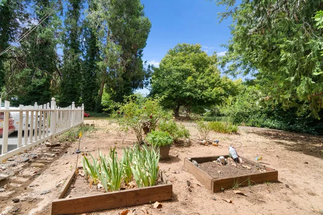 a view of a yard with plants