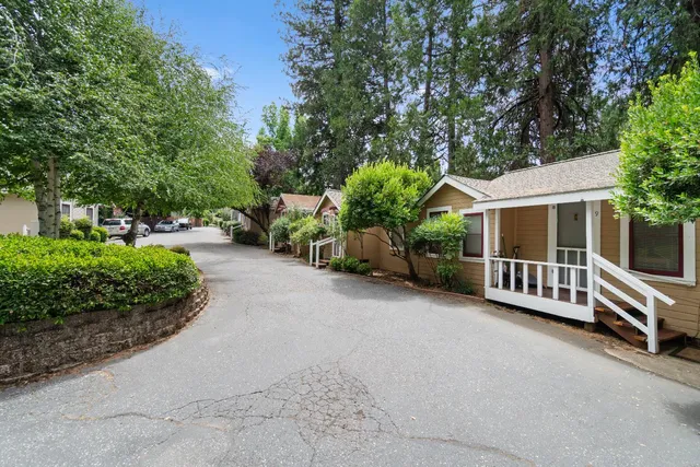 a view of a house with a yard and a large tree