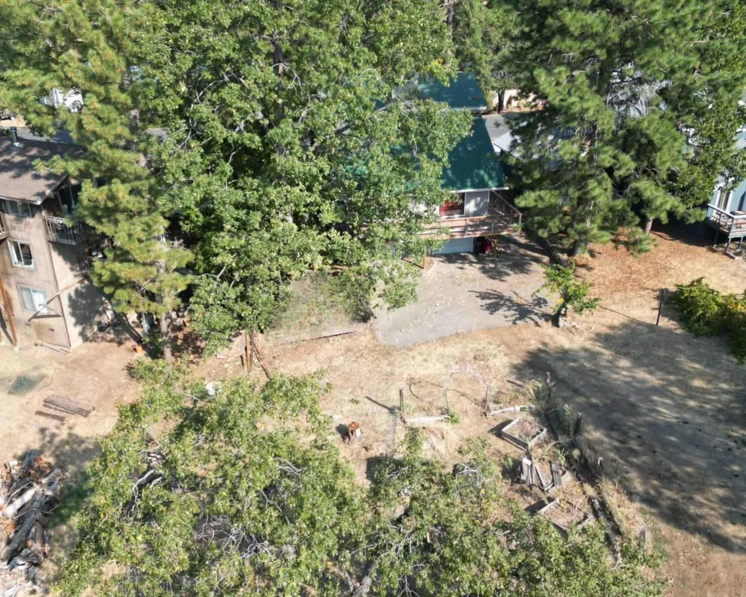 34125 Shaver Springs Road Auberry, CA 93602 - Photo 8 of 9 a view of a yard with plants and tree