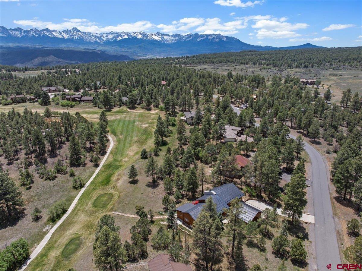 412 South Badger Trail Ridgway, CO 81432 - Photo 42 of 45