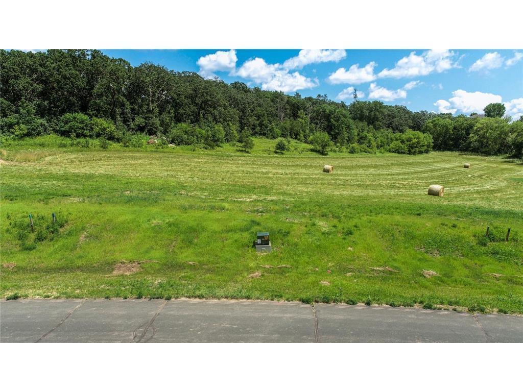 996 Golfview Drive Preston, MN 55965 - Photo 2 of 12