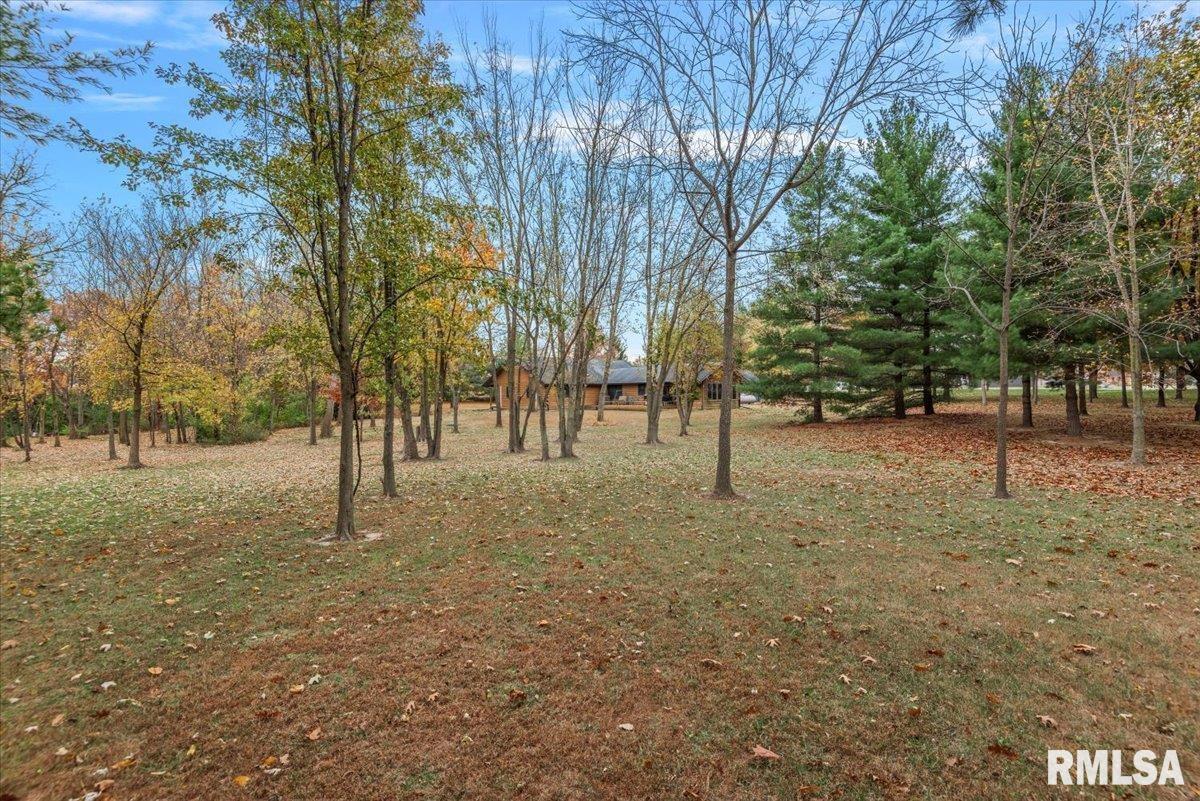 535 Jostes Road Springfield, IL 62712 - Photo 48 of 58