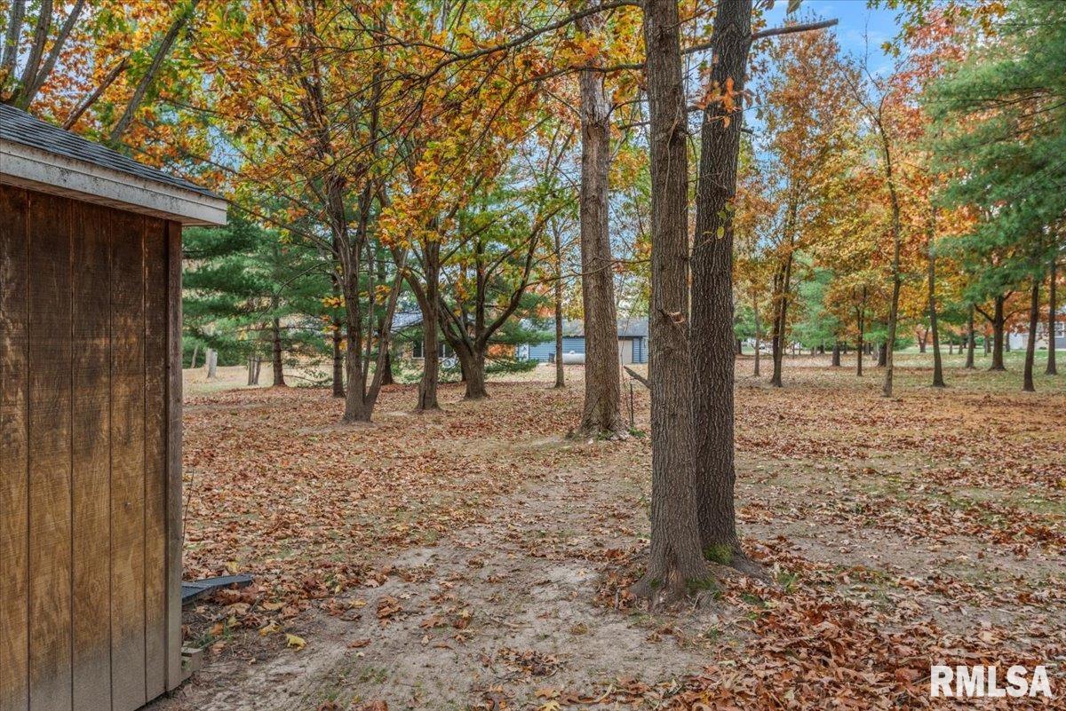 535 Jostes Road Springfield, IL 62712 - Photo 51 of 58