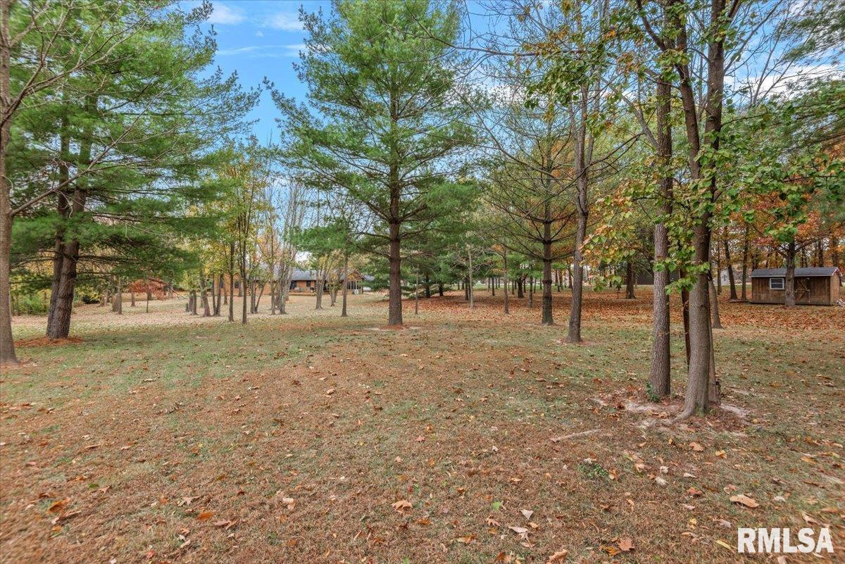 535 Jostes Road Springfield, IL 62712 - Photo 53 of 58