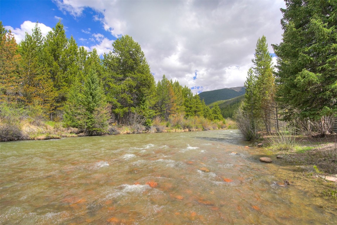 1473 East Keystone Road, Unit 2933 Keystone, CO 80435 - Photo 12 of 18 a view of a yard with a tree