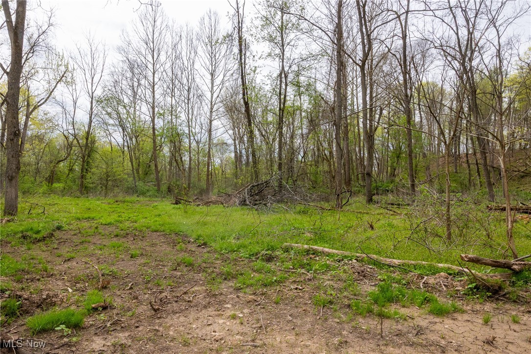 511 State Route Ashland, OH 44805 - Photo 21 of 42 View of local wilderness featuring a view of trees