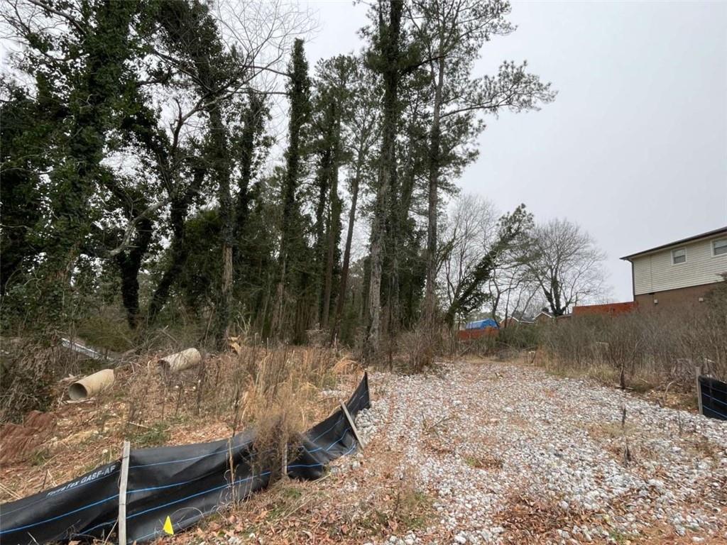 0 Carrington Place Northeast Rome, GA 30161 - Photo 2 of 4 a view of a yard with a tree