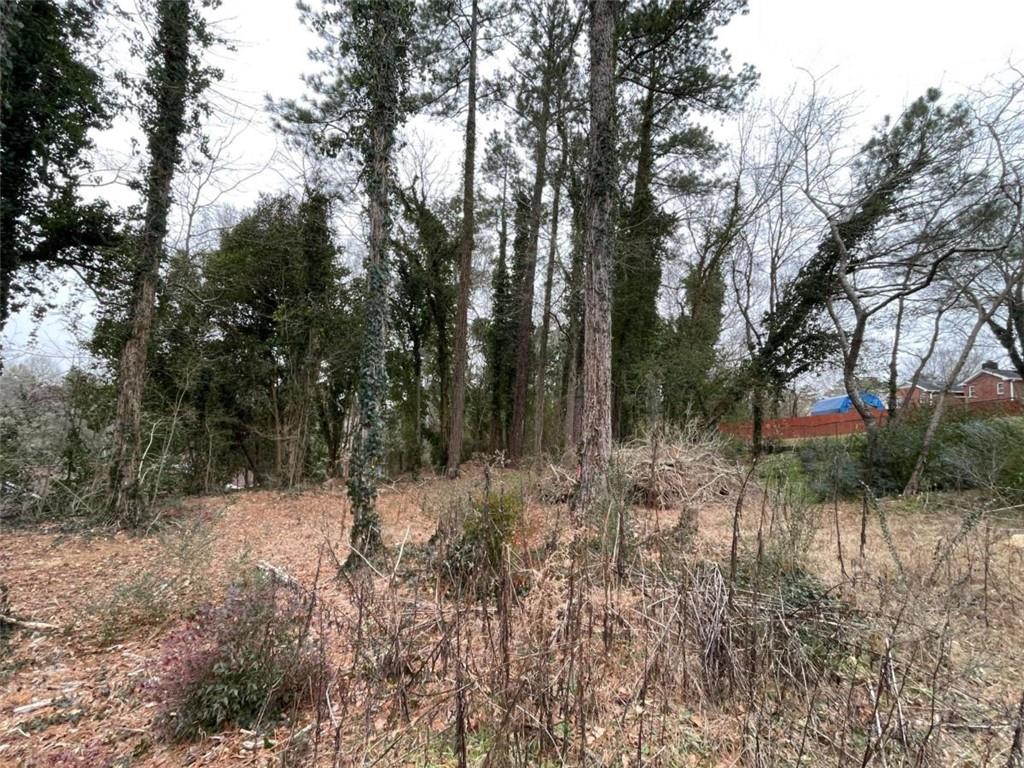 0 Carrington Place Northeast Rome, GA 30161 - Photo 3 of 4 a view of a forest filled with trees