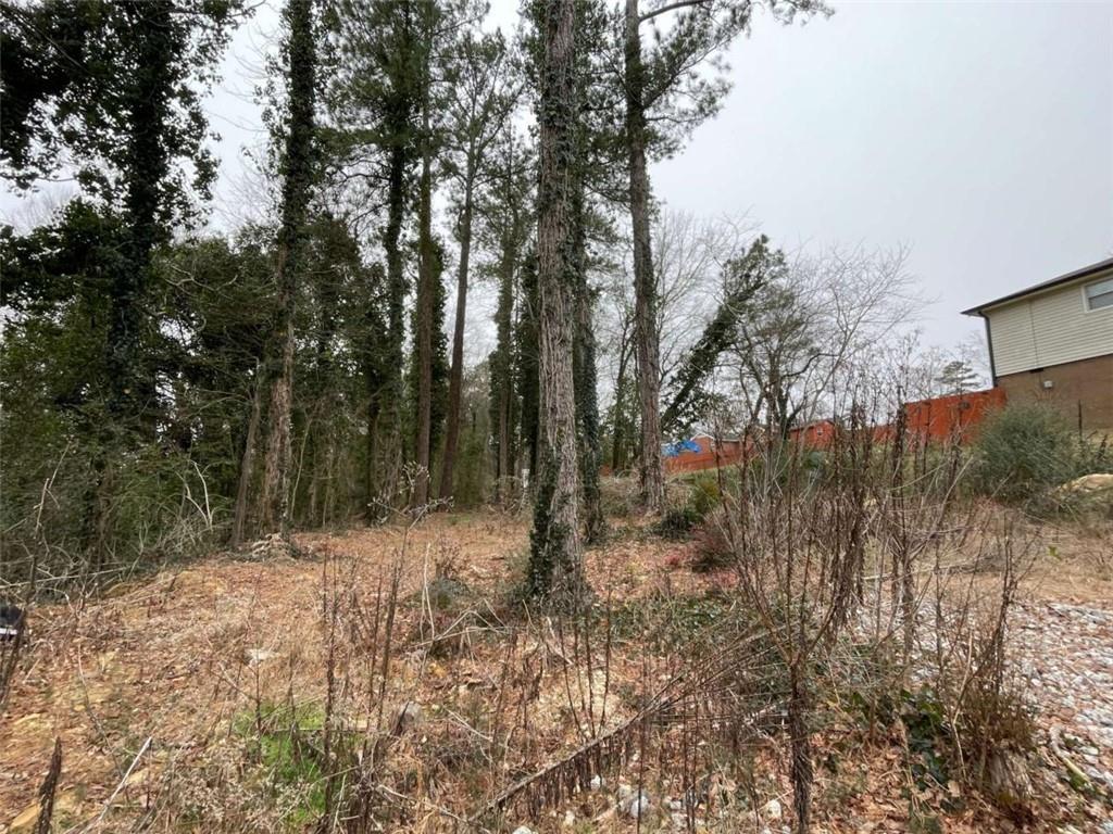 0 Carrington Place Northeast Rome, GA 30161 - Photo 4 of 4 a view of outdoor space and trees