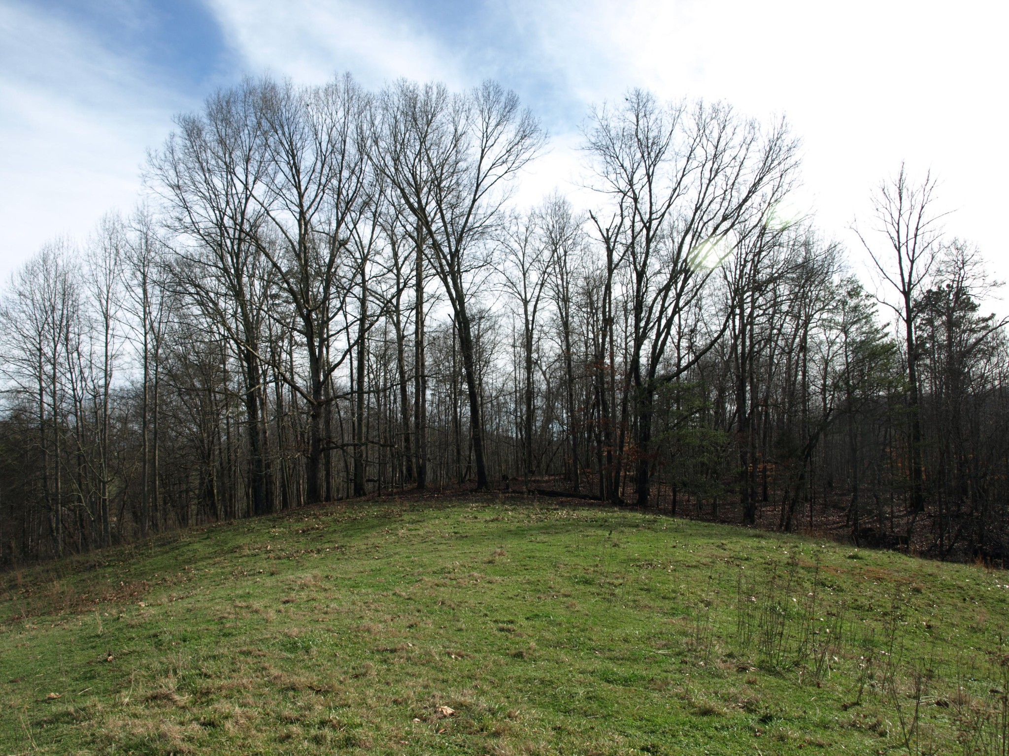 0 Big Creek Road La Follette, TN 37766 - Photo 22 of 30 Gallery Image 22