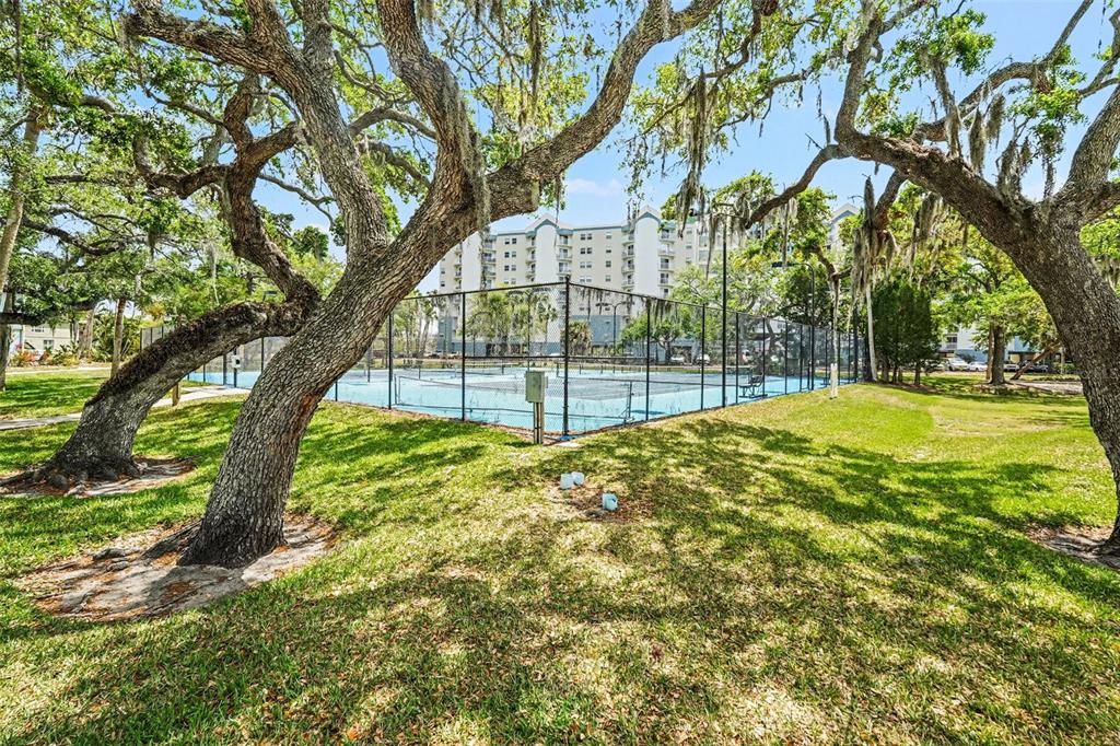 5567 Sea Forest Drive, Unit 324 New Port Richey, FL 34652 - Photo 20 of 23 a view of a yard with plants and large trees