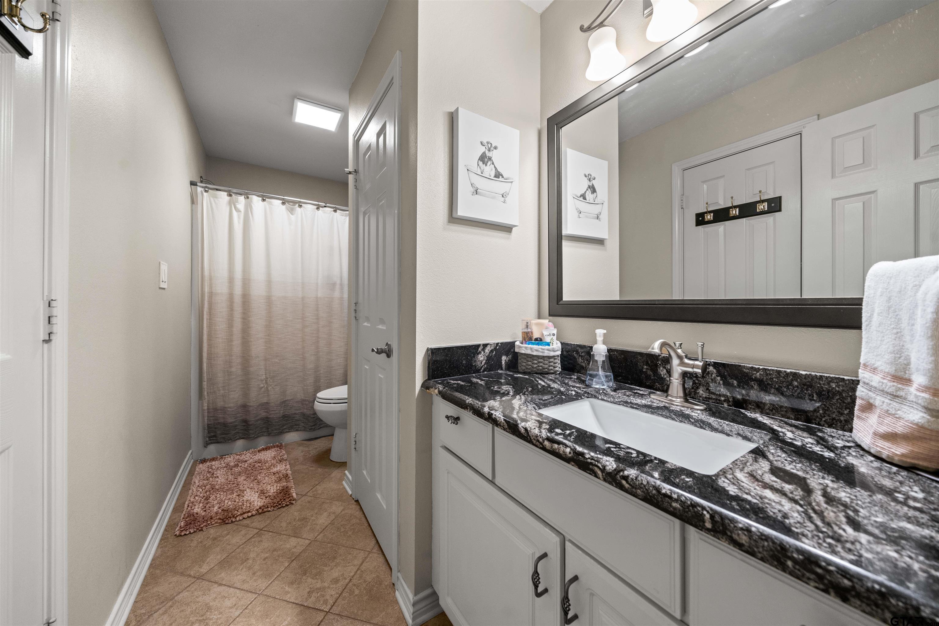 1521 Rice Road, Unit A105 Tyler, TX 75703 - Photo 16 of 28 a bathroom with a granite countertop sink and a mirror