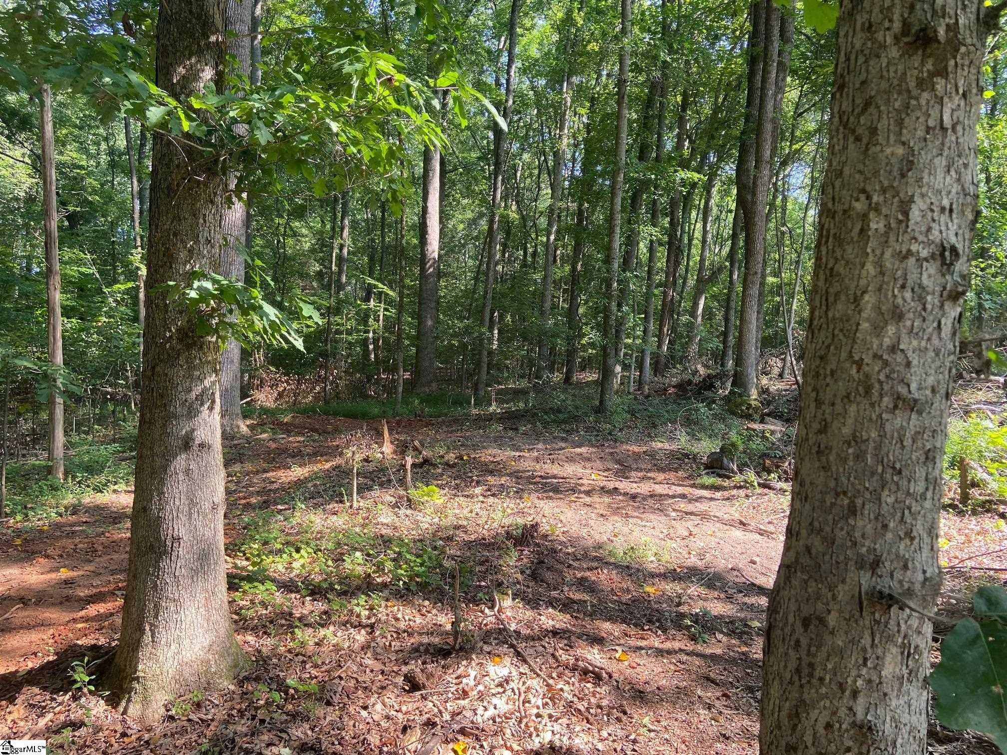 472 Knickerbocker Estates Road Fountain Inn, SC 29644 - Photo 20 of 34