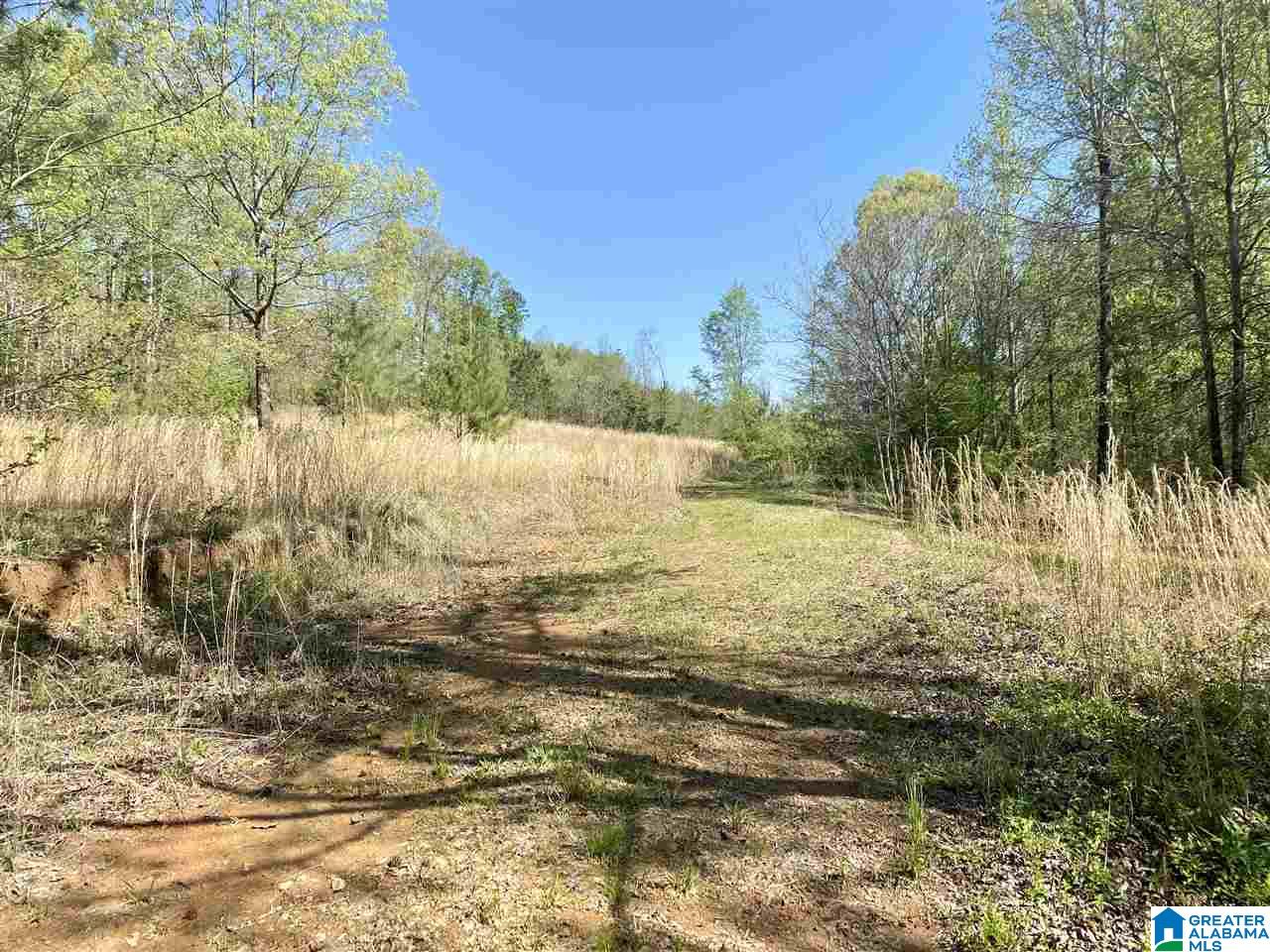4201 Bristow Cove Road, Unit 1 Boaz, AL 35956 - Photo 12 of 23