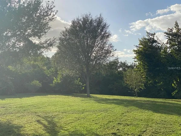 a view of a field with an trees