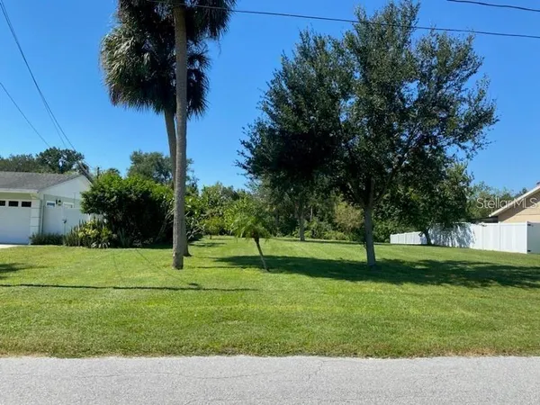 a view of a park with a tree and plants
