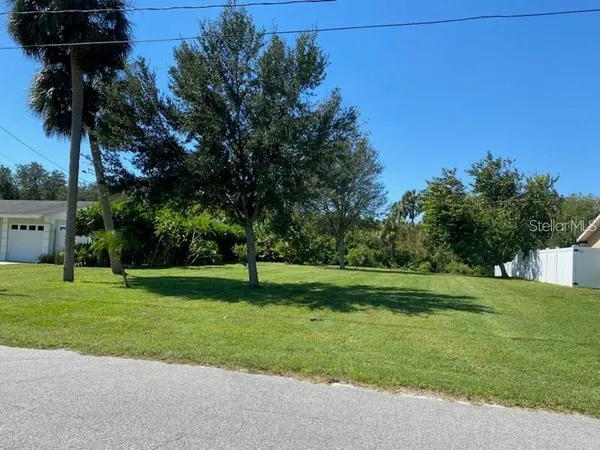 a view of a park with a tree in the background