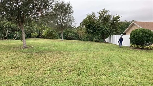 a view of a field with a tree