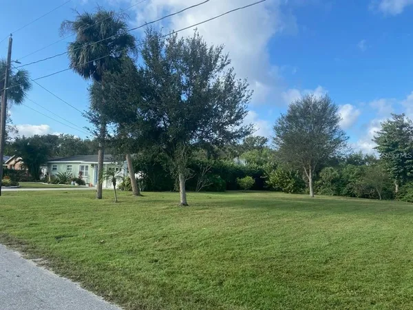 a view of a park with large trees