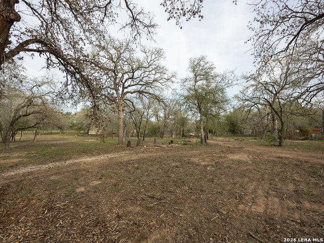 135 Savannah Ridge Von Ormy, TX 78073 - Photo 10 of 45 a view of dirt yard with a trees