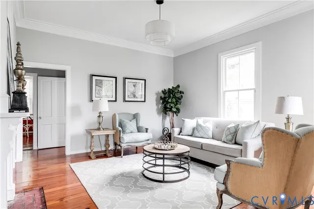 a living room with furniture potted plant and a window