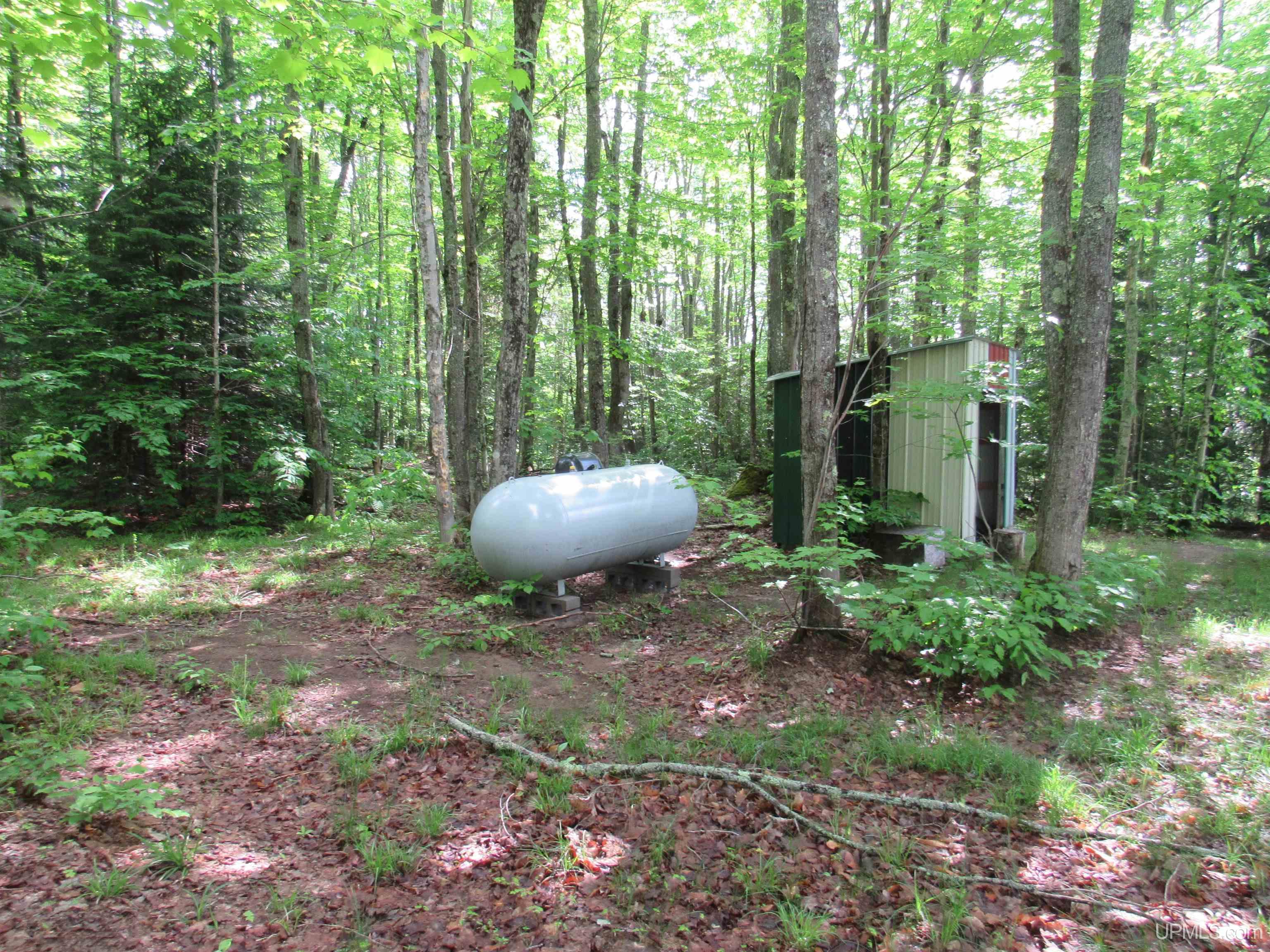 Tbd Tbd Sigan Camp Road Seney, MI 49883 - Photo 20 of 41