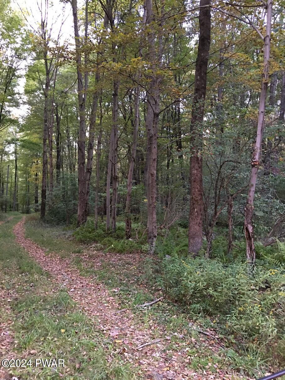 Pine Grove Road Newfoundland, PA 18445 - Photo 2 of 18