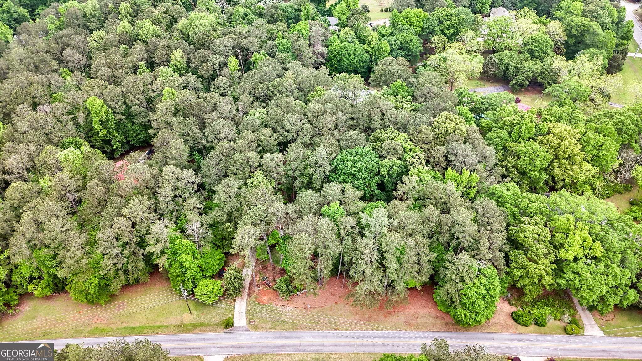 110 The Farm Road McDonough, GA 30252 - Photo 32 of 32 view of a yard with plants
