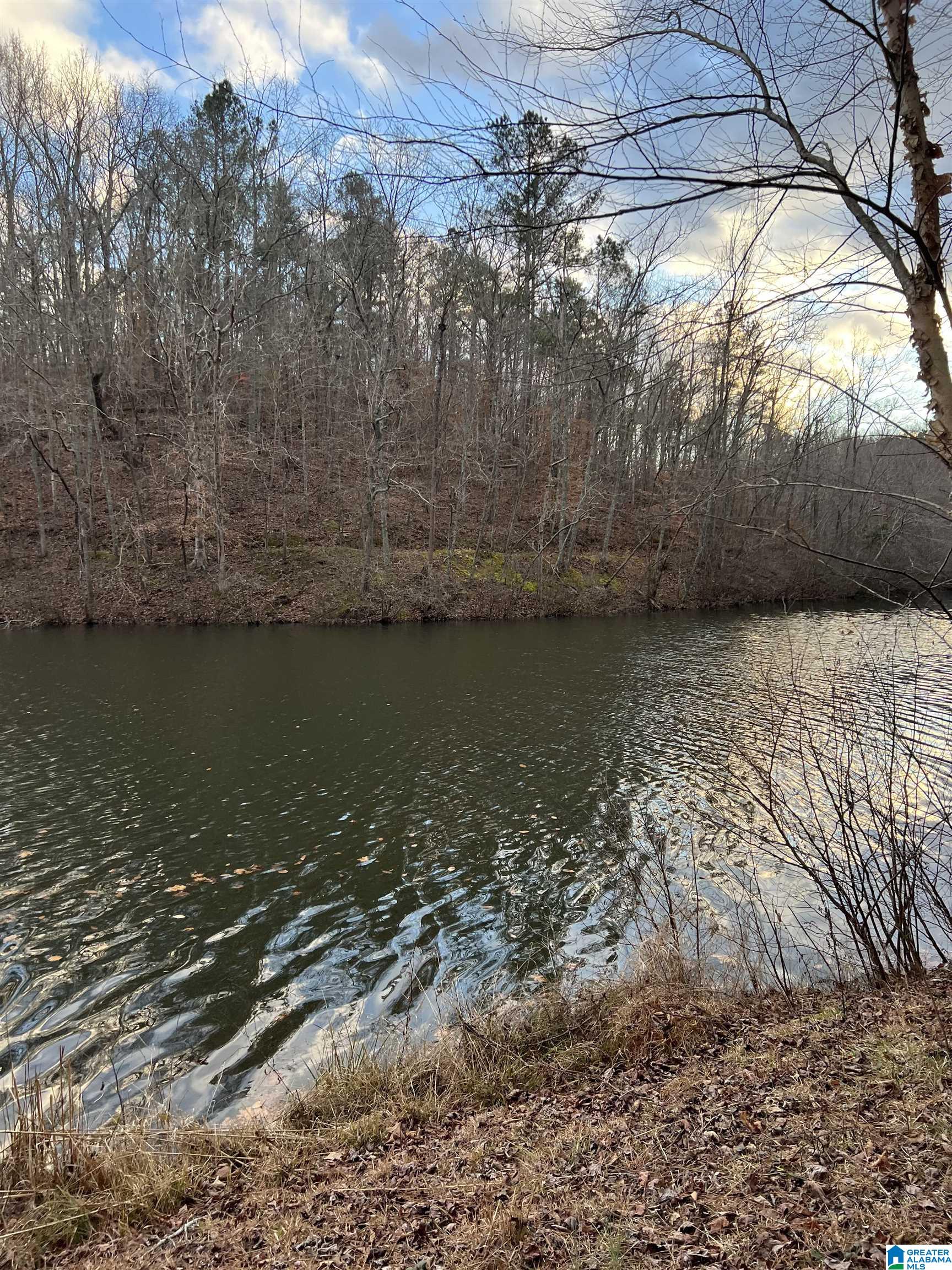 201 County Road 929 Delta, AL 36258 - Photo 3 of 8