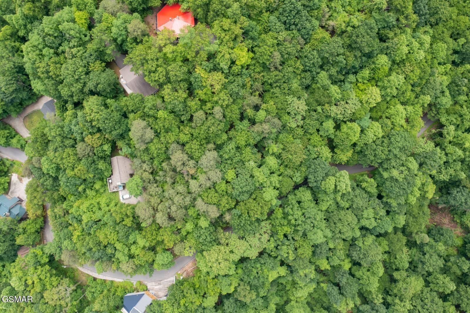 11 Zurich Road Gatlinburg, TN 37738 - Photo 5 of 14