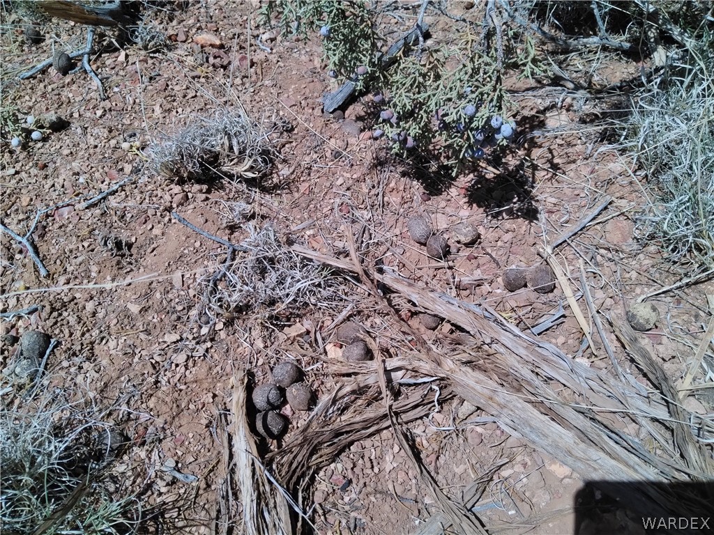 301-31-148 Antelope Run Road Seligman, AZ 86337 - Photo 4 of 8