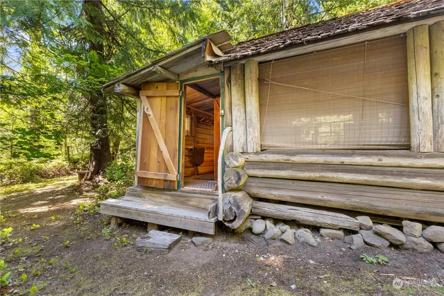 a view of a forest with a tree