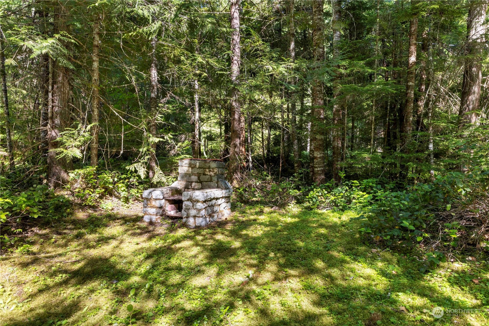 9 The Dalles Enumclaw, WA 98022 - Photo 18 of 21 a view of a forest with a tree