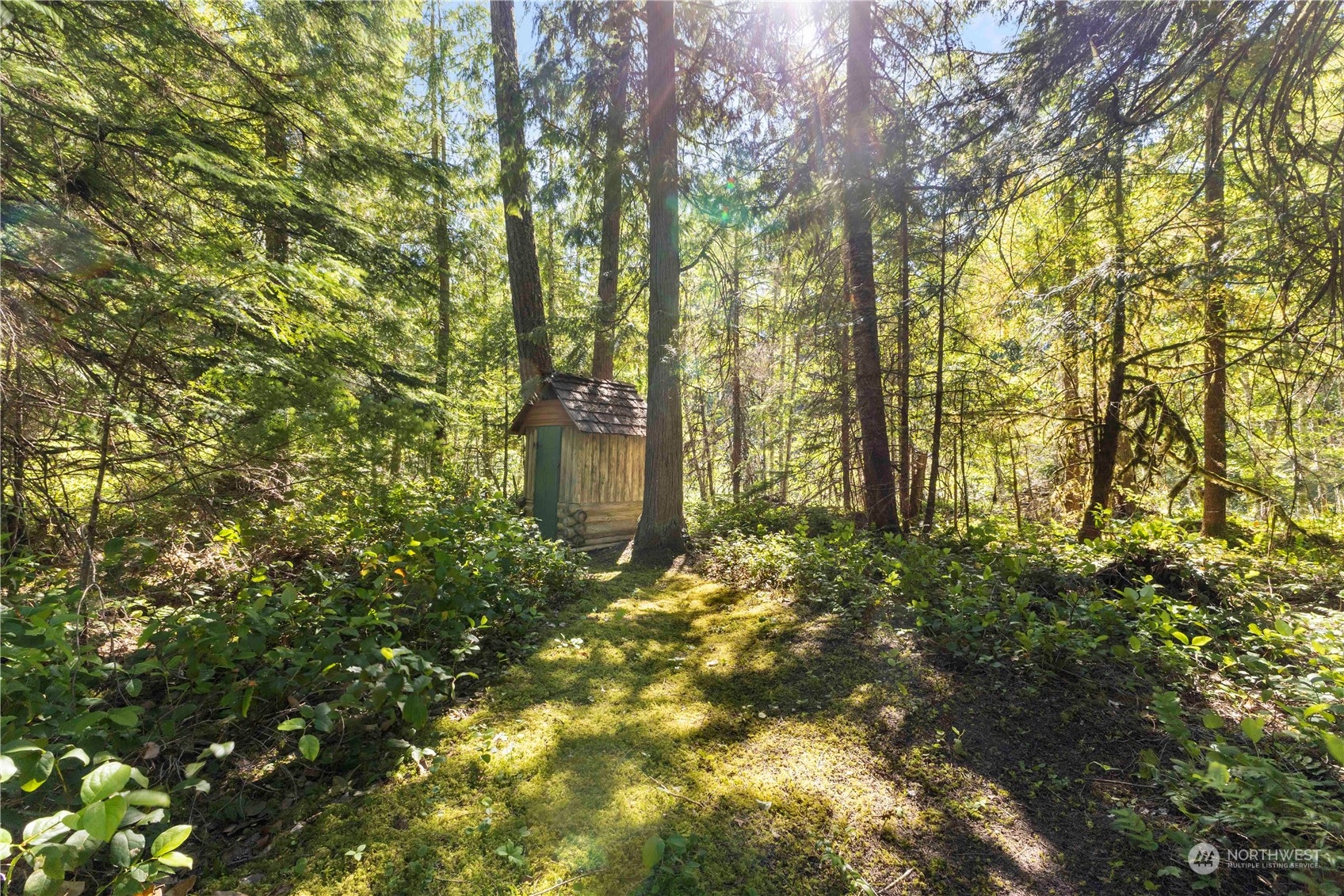 9 The Dalles Enumclaw, WA 98022 - Photo 19 of 21 a view of a yard with large trees