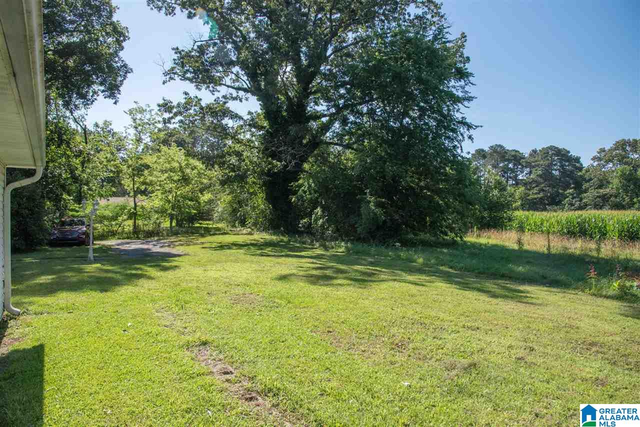 2644 Mt Olive Road Mount Olive, AL 35117 - Photo 30 of 30