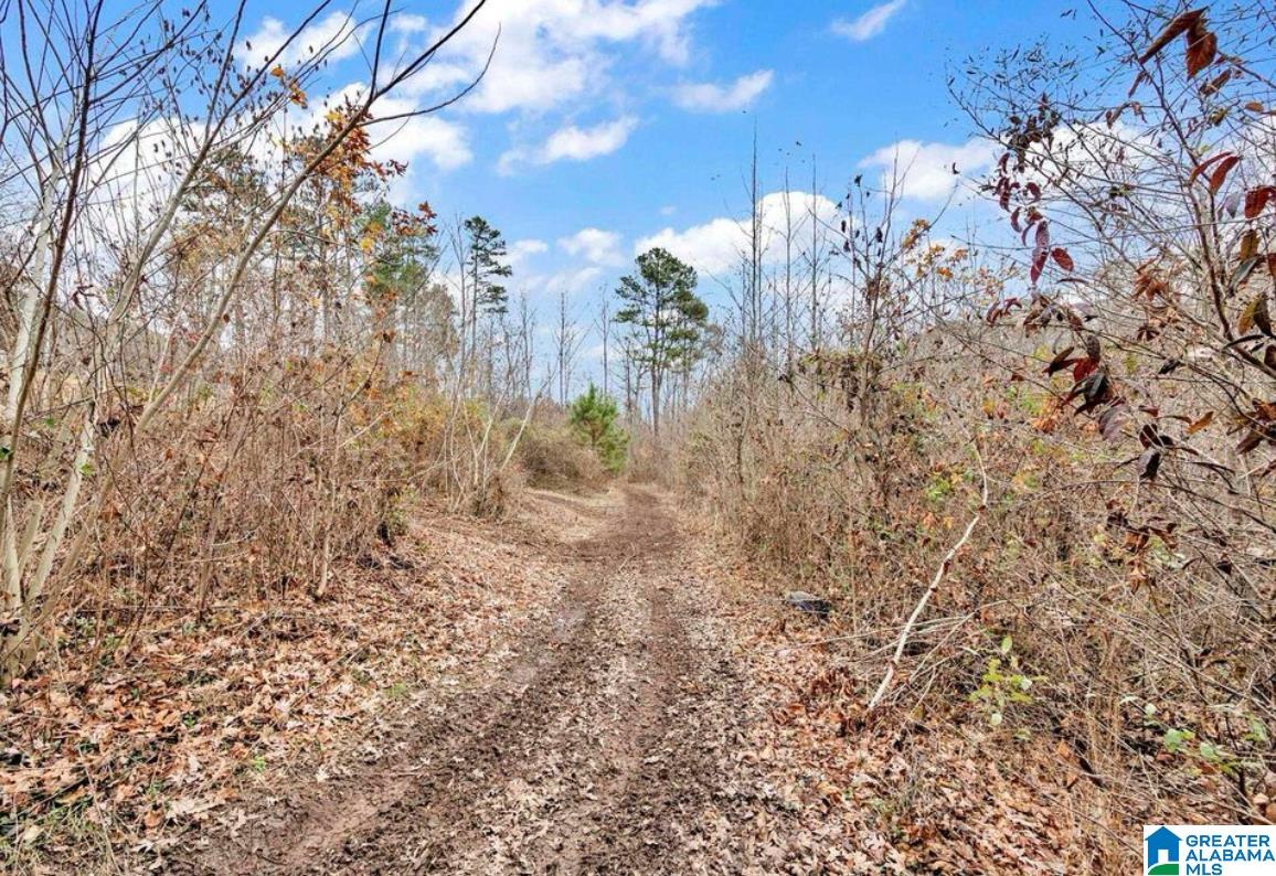874 Mill Creek Road Warrior, AL 35180 - Photo 42 of 47