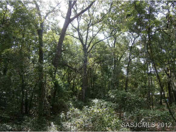 9750 Us Highway St. Augustine, FL 32095 - Photo 1 of 1 a view of forest