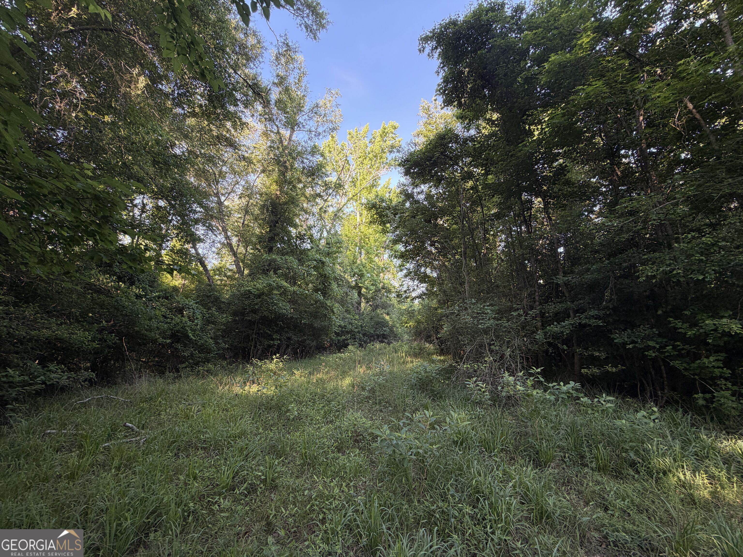 0 Branan Road Toomsboro, GA 31090 - Photo 10 of 28