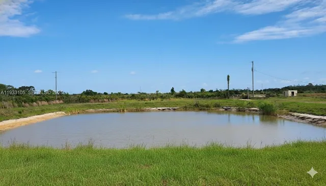 a view of a lake from a yard