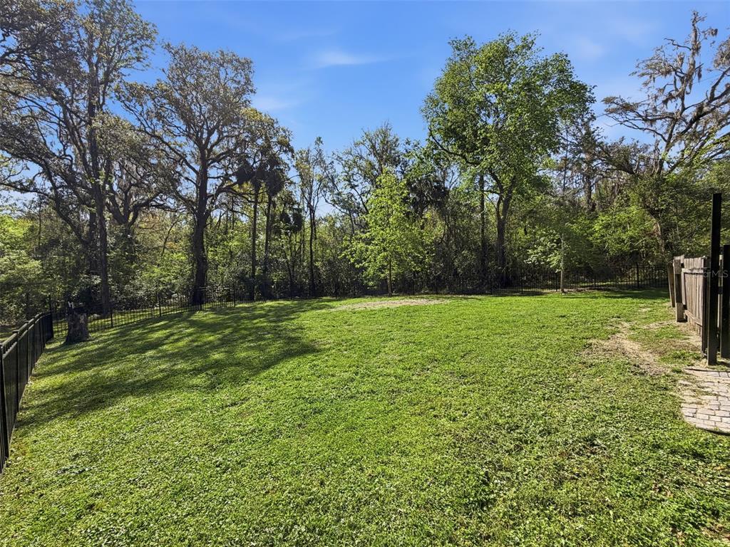 24350 Lanark Road Brooksville, FL 34601 - Photo 32 of 56 a view of a yard with a tree