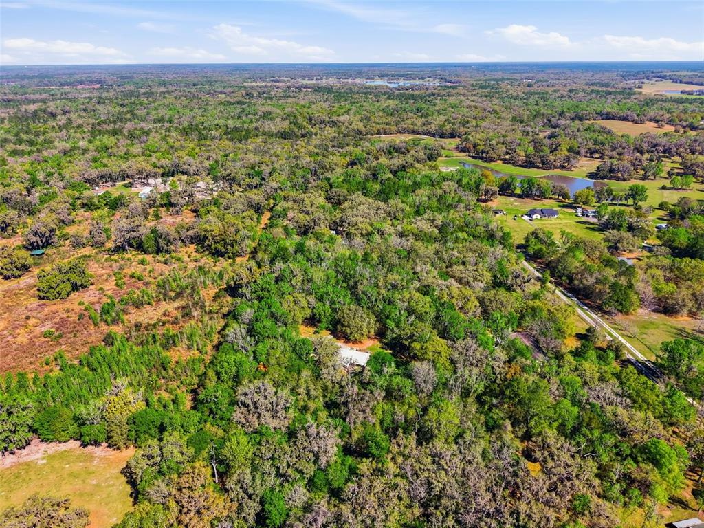 24350 Lanark Road Brooksville, FL 34601 - Photo 50 of 56 a view of a city with lush green forest